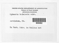 Image Associated With the Occurence